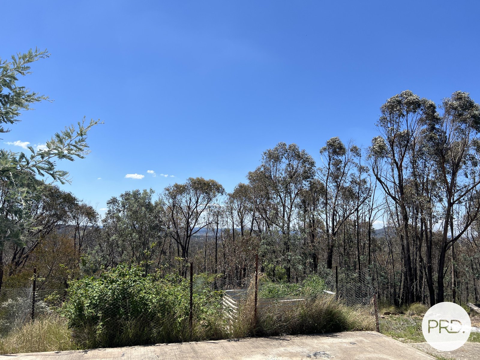 350 Widgiewa Road CARWOOLA 26