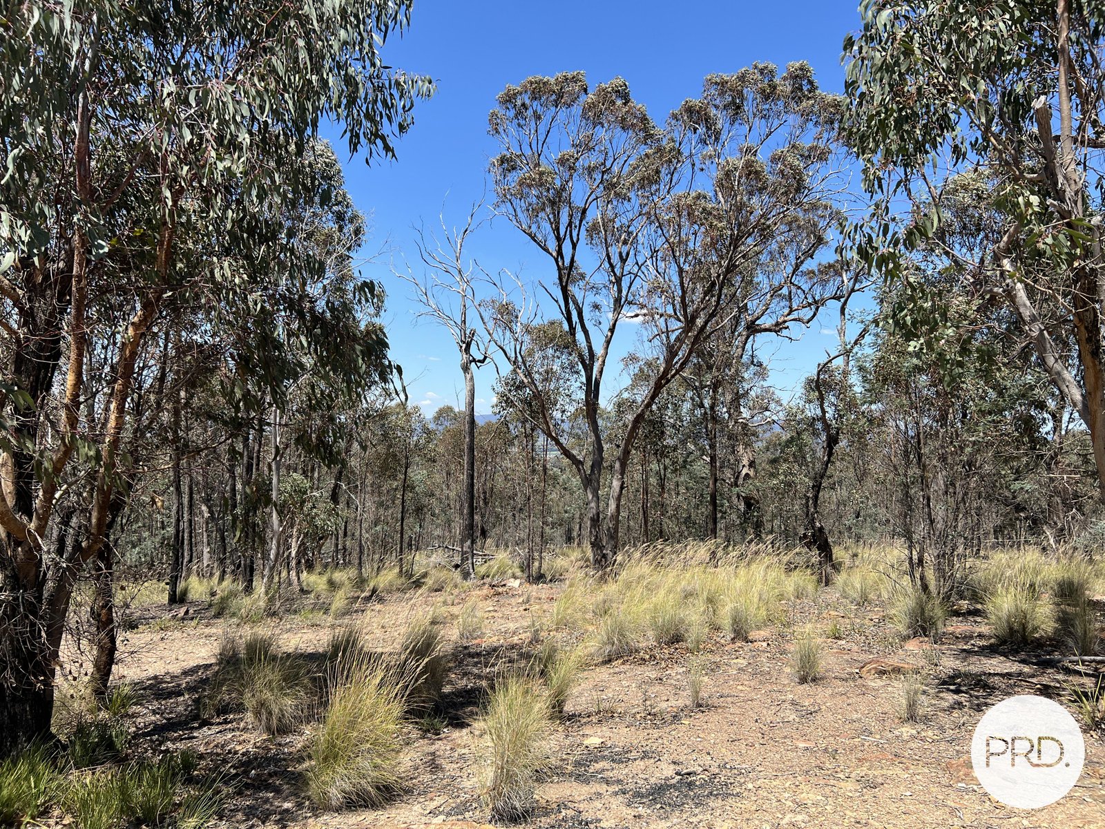 350 Widgiewa Road CARWOOLA 27