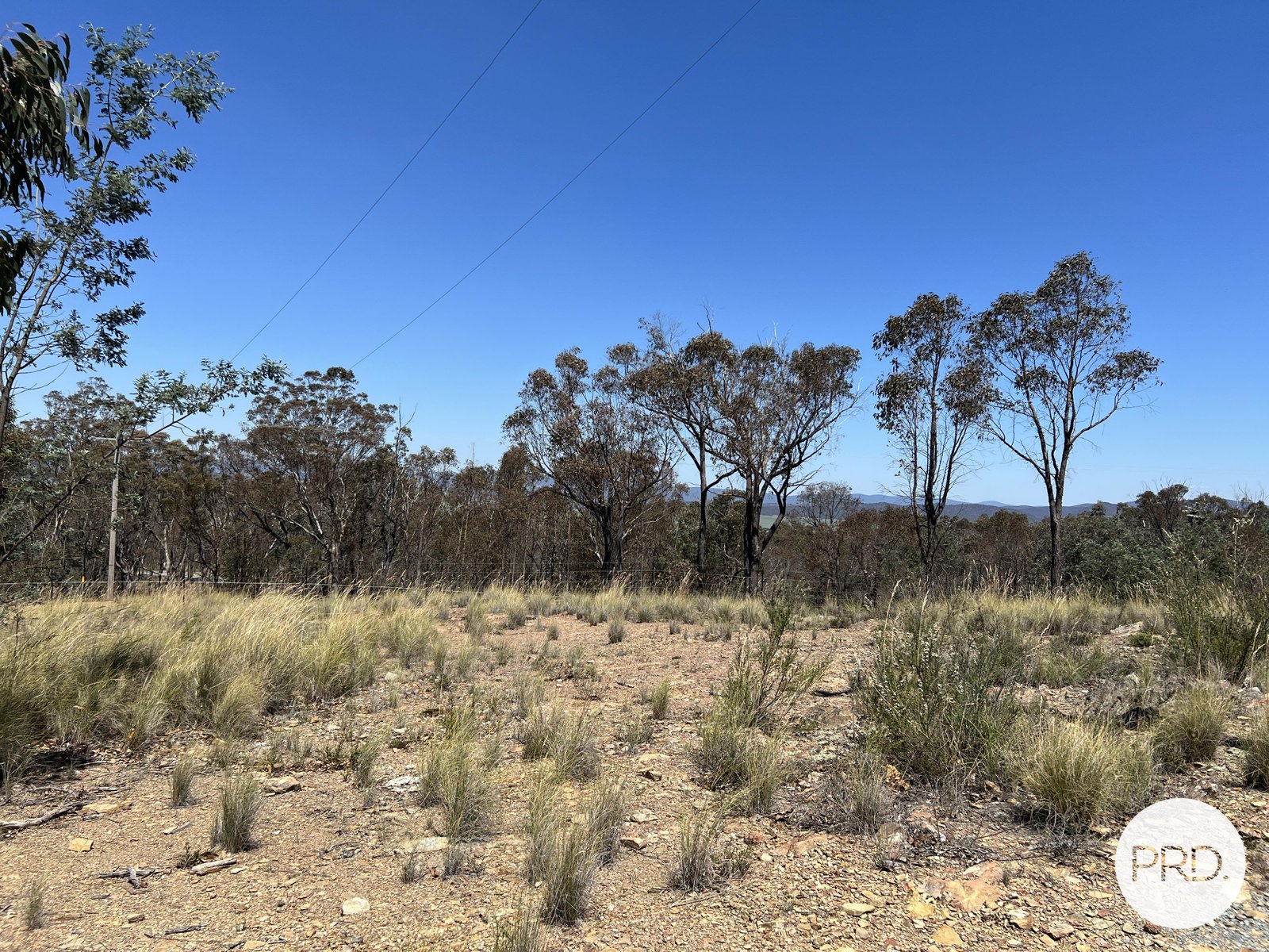 350 Widgiewa Road CARWOOLA 28