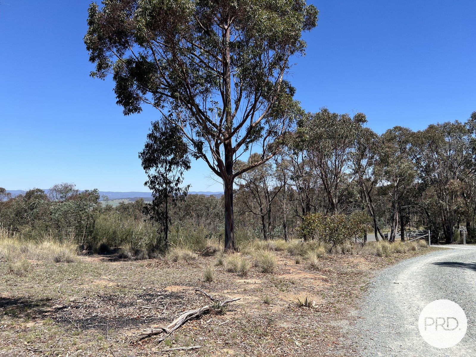 350 Widgiewa Road CARWOOLA 29
