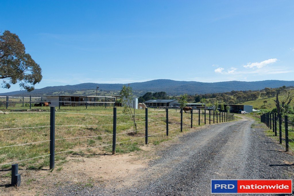 351 Rossi Road ROSSI 5