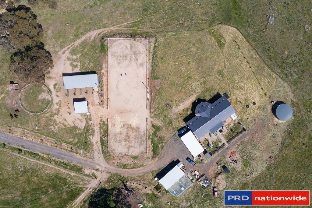 351 Rossi Road ROSSI 7