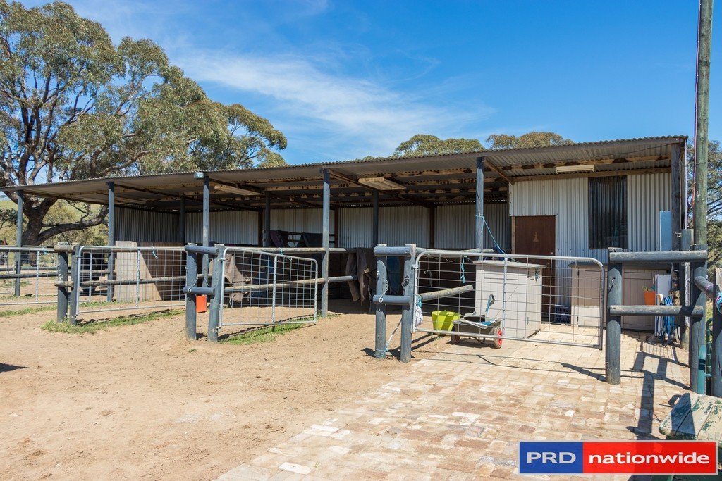 351 Rossi Road ROSSI 8