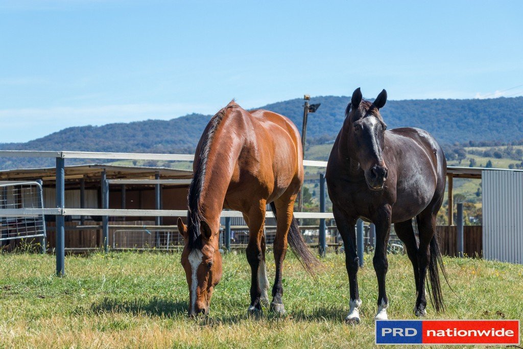 351 Rossi Road ROSSI 9