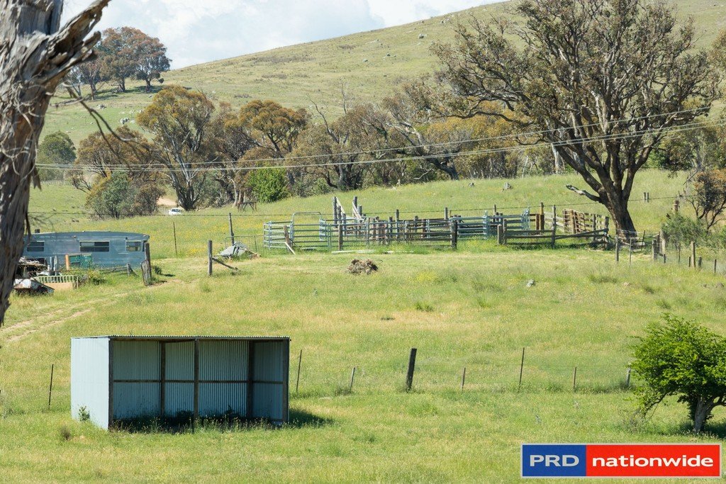 351 Rossi Road ROSSI 22