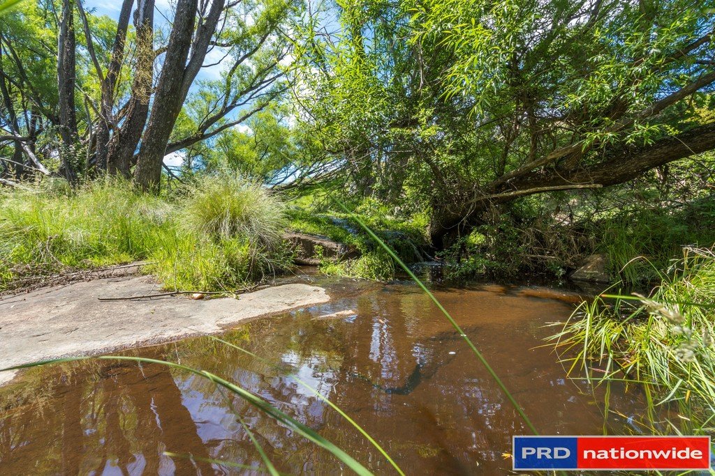 351 Rossi Road ROSSI 24