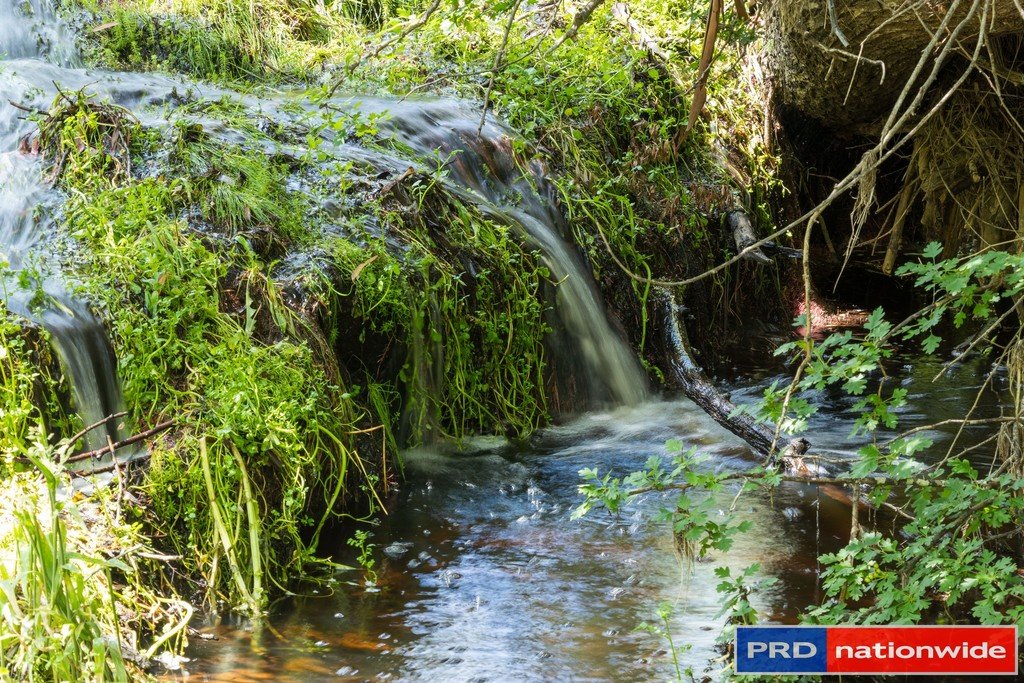 351 Rossi Road ROSSI 25