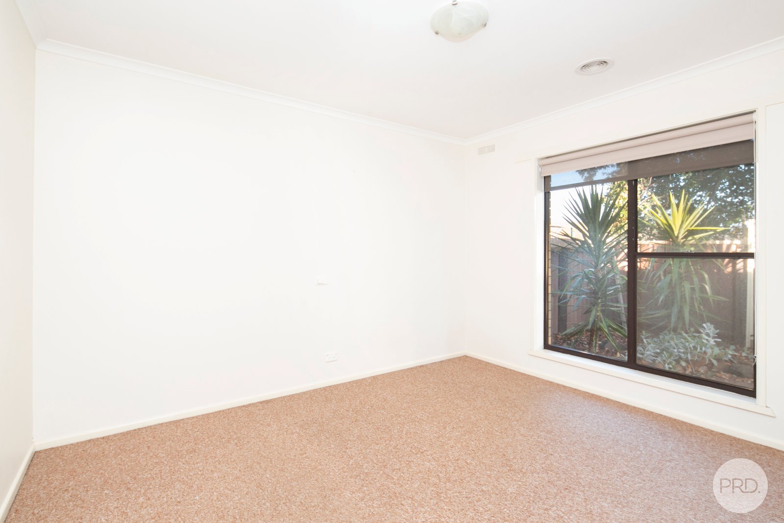 3/52 Longley Street ALFREDTON 6