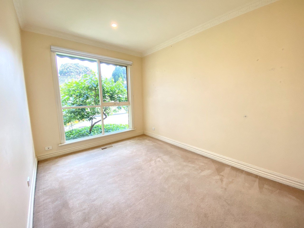3/521 Whitehorse Road, Surrey Hills, 3127
