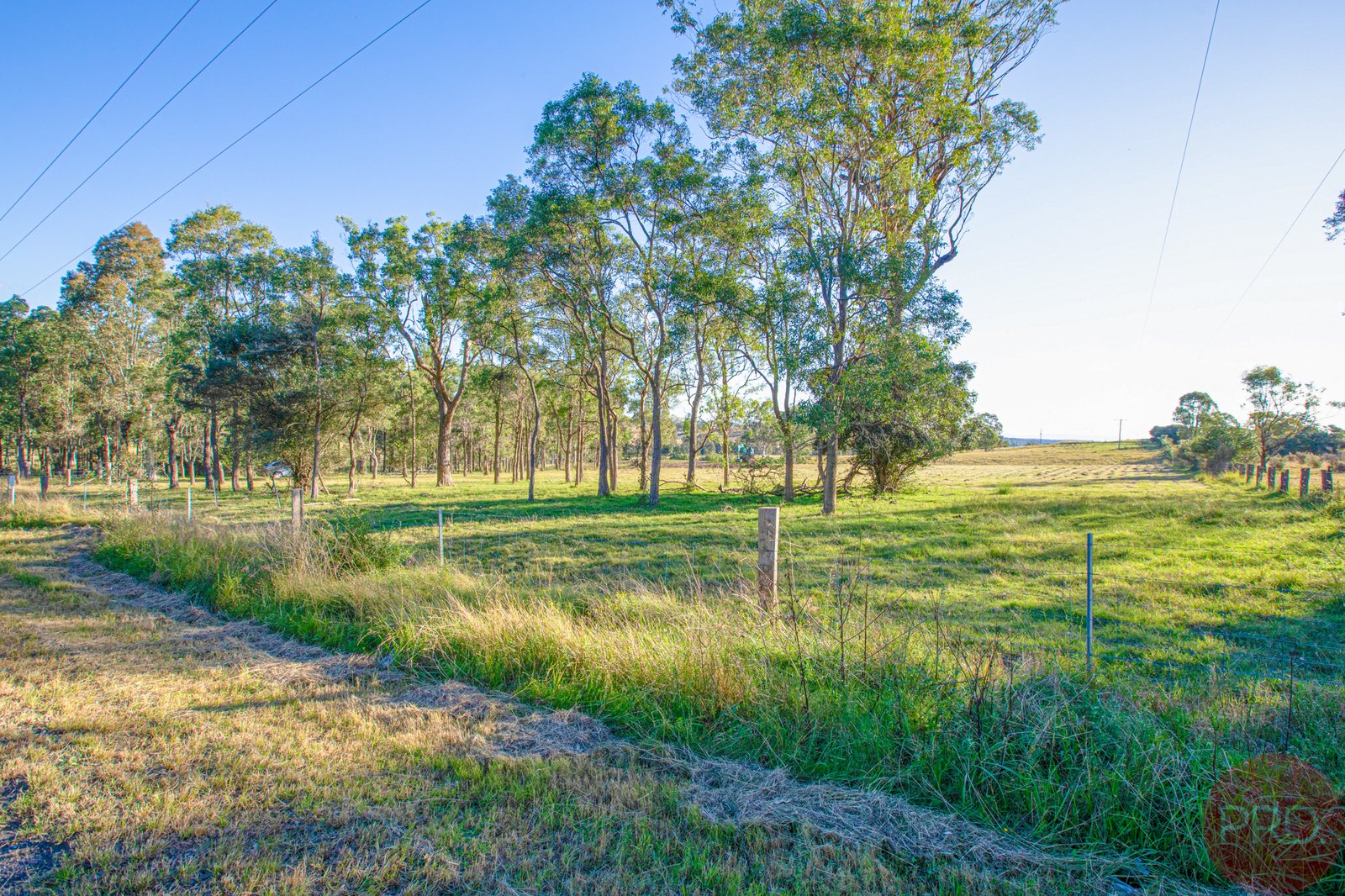 353 Elderslie Road BRANXTON 5