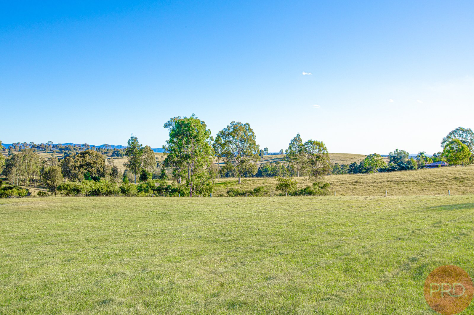 353 Elderslie Road BRANXTON 6