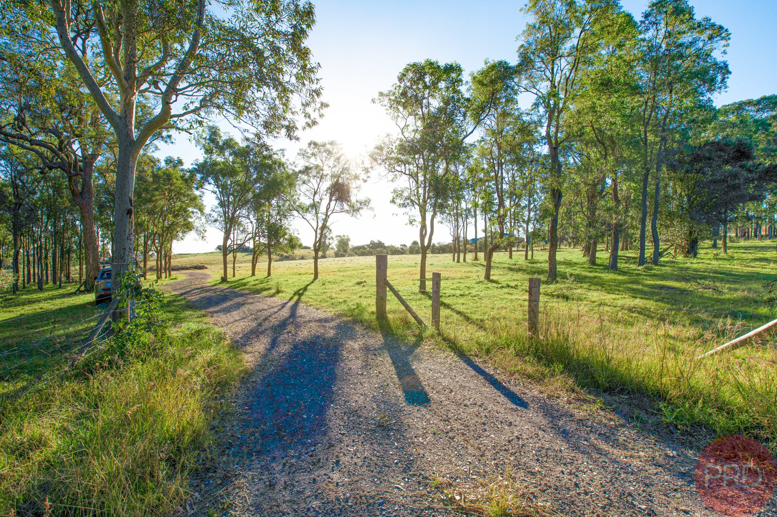 353 Elderslie Road BRANXTON 8