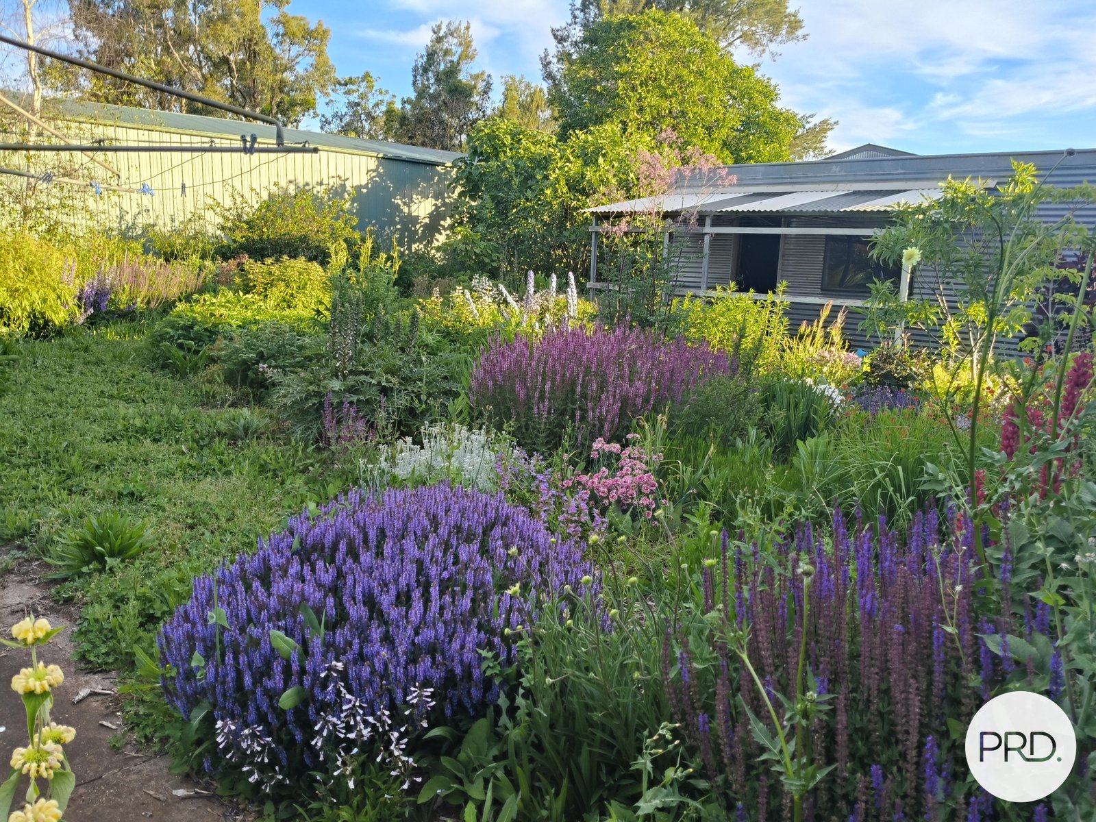 3535 Creswick-Newstead Road SMEATON 11