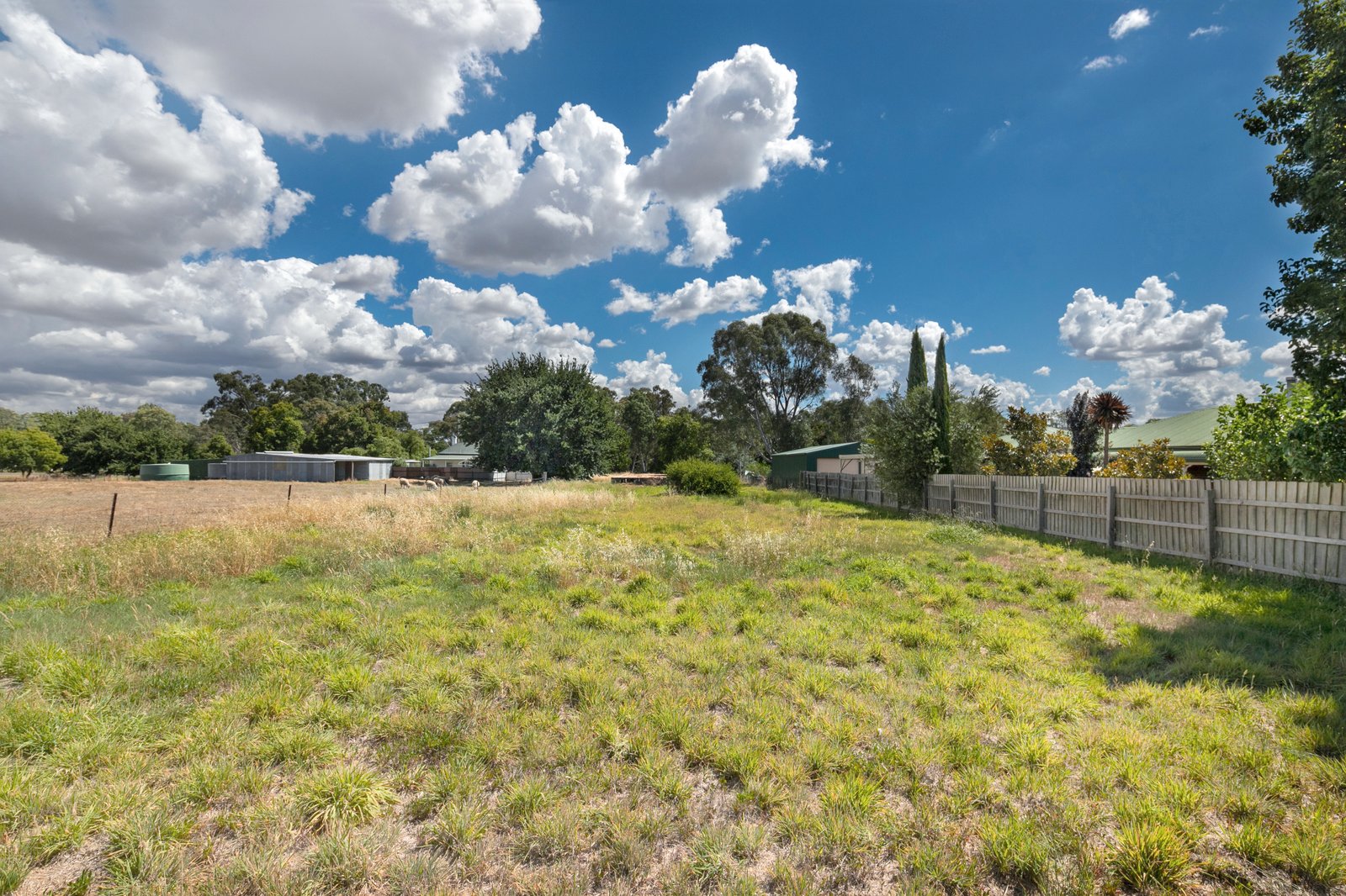 3536 Sunraysia Highway LEXTON 4