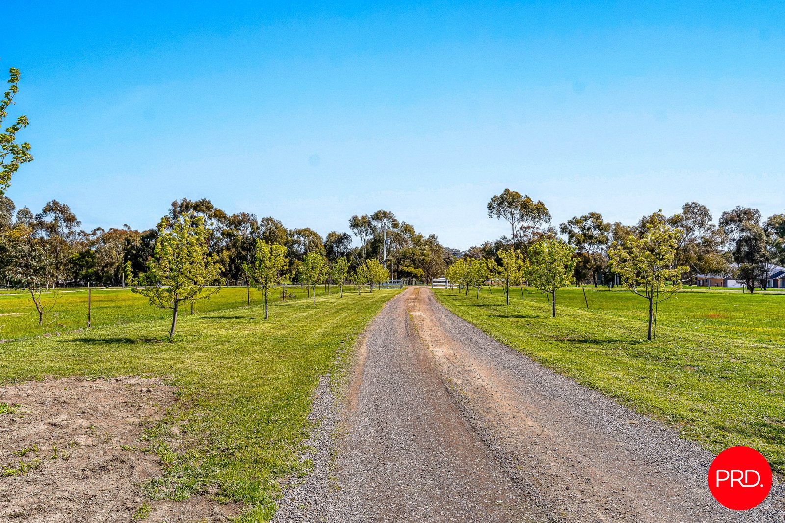 354 Wild Cherry Road LOCKWOOD SOUTH 27