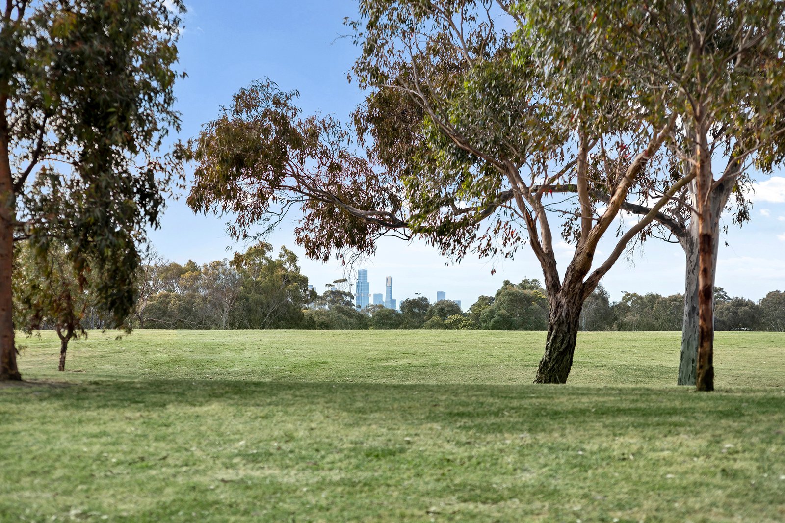 Real Estate and Property in 3/568 New Street, Brighton, VIC