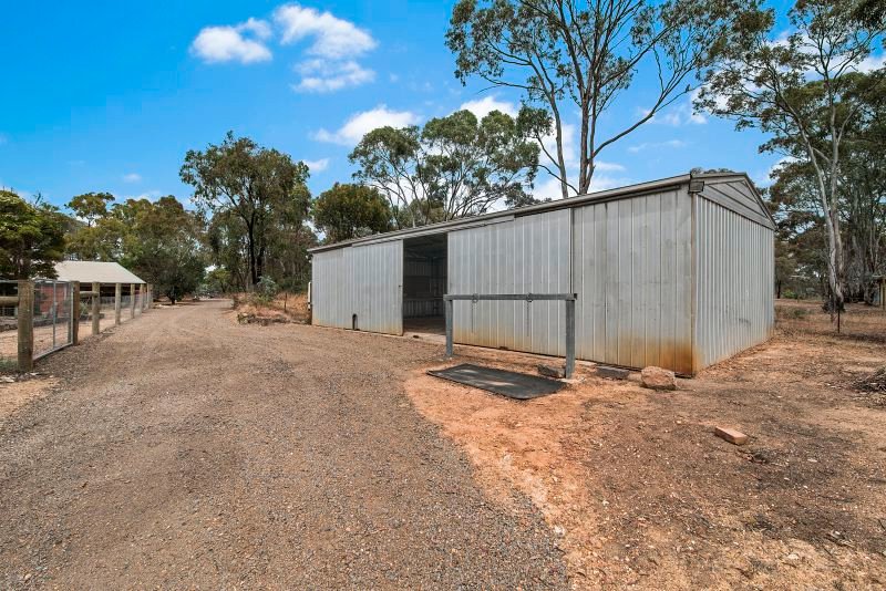 357 Sinclairs Road STRATHFIELDSAYE 12