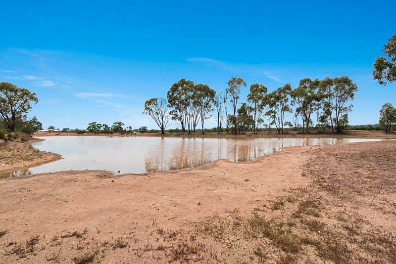 357 Sinclairs Road STRATHFIELDSAYE 13