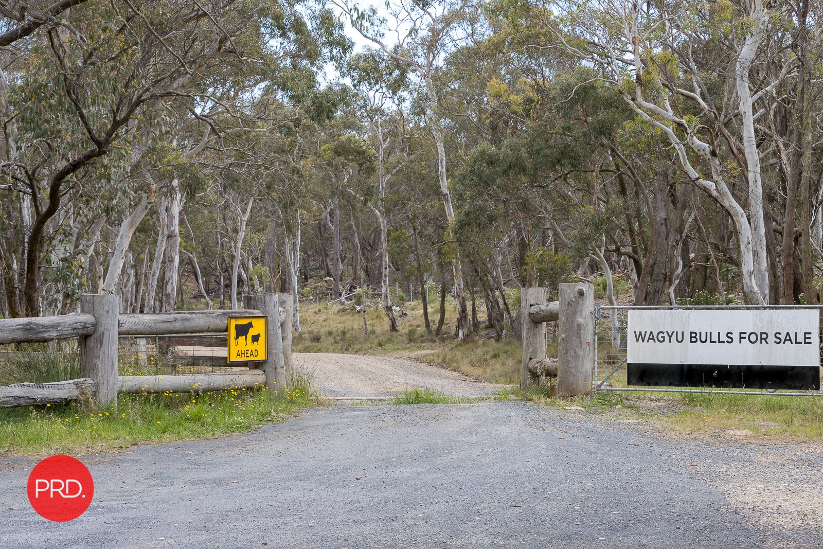 3578 Kings Highway BUNGENDORE 2