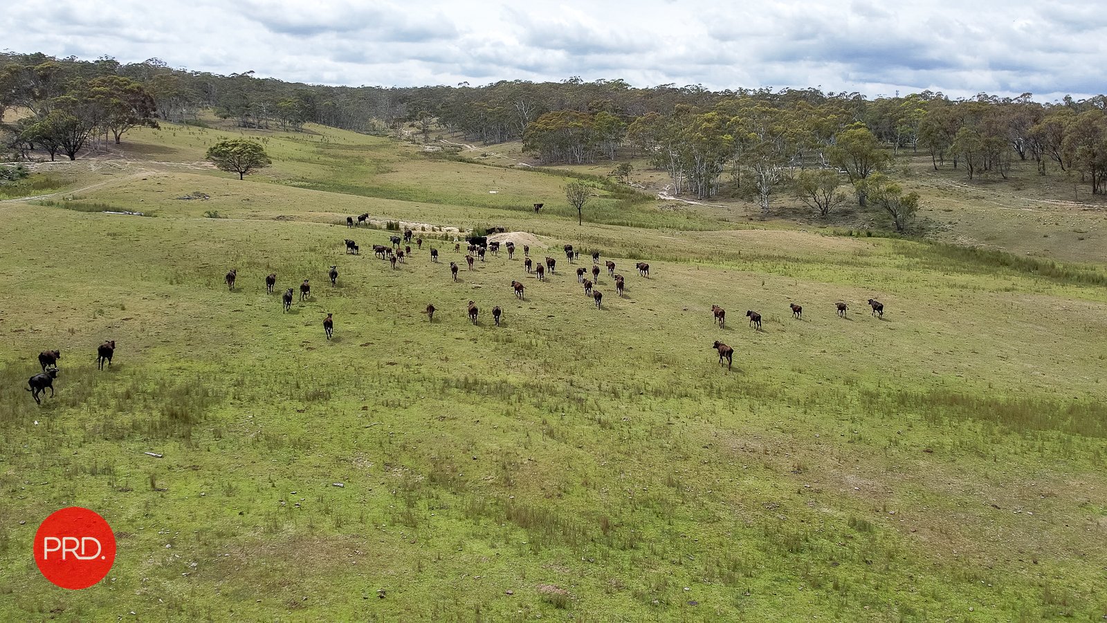 3578 Kings Highway BUNGENDORE 5