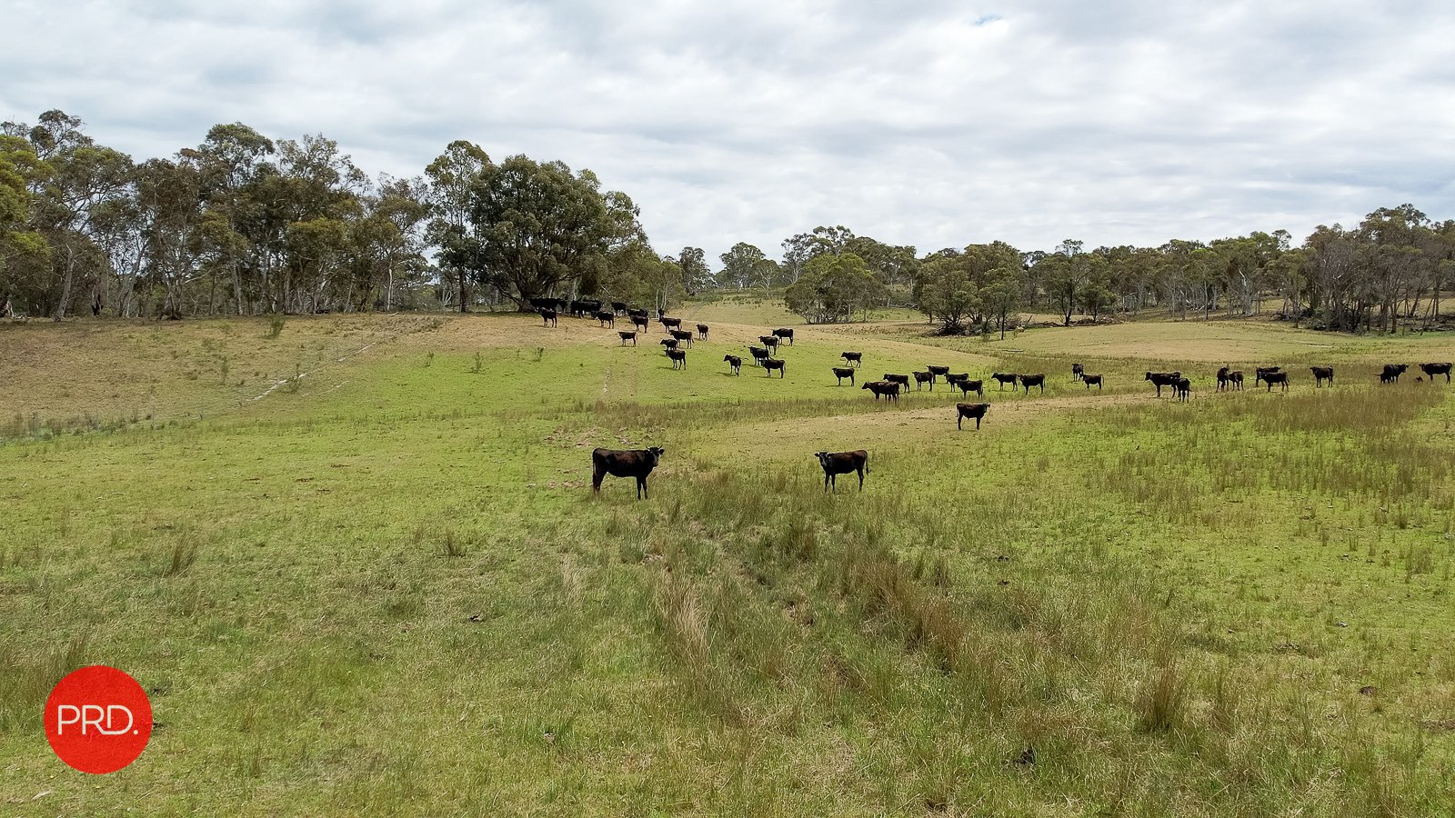 3578 Kings Highway BUNGENDORE 11