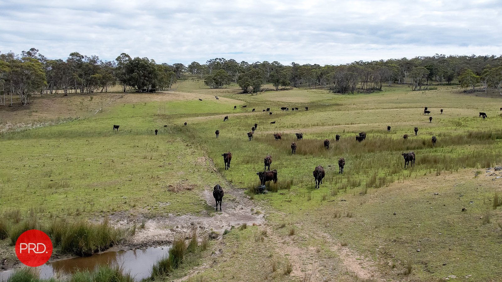3578 Kings Highway BUNGENDORE 12