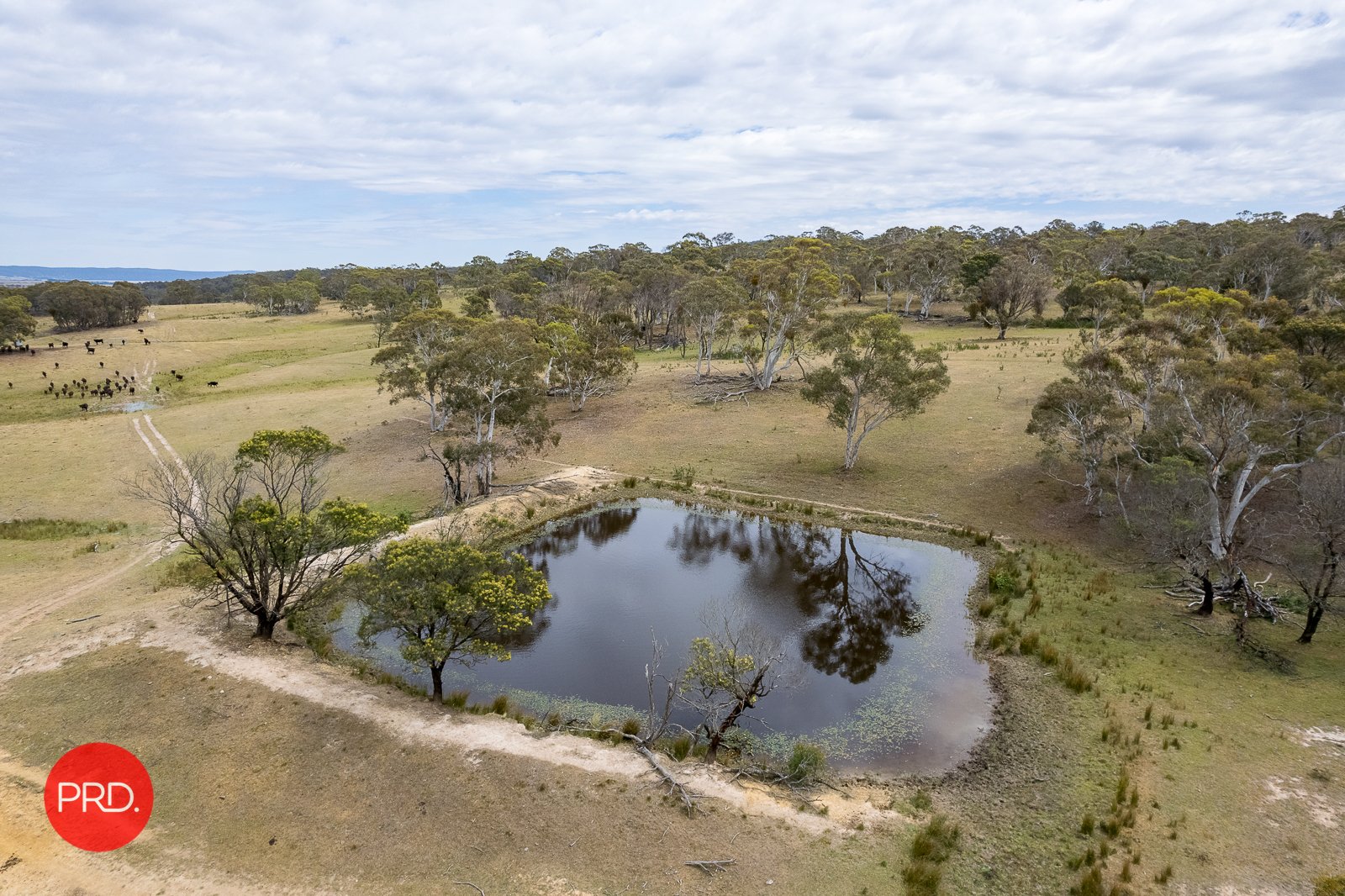 3578 Kings Highway BUNGENDORE 16