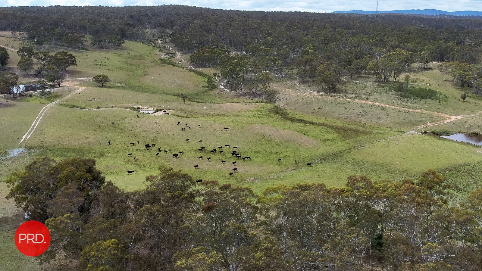 3578 Kings Highway BUNGENDORE 29