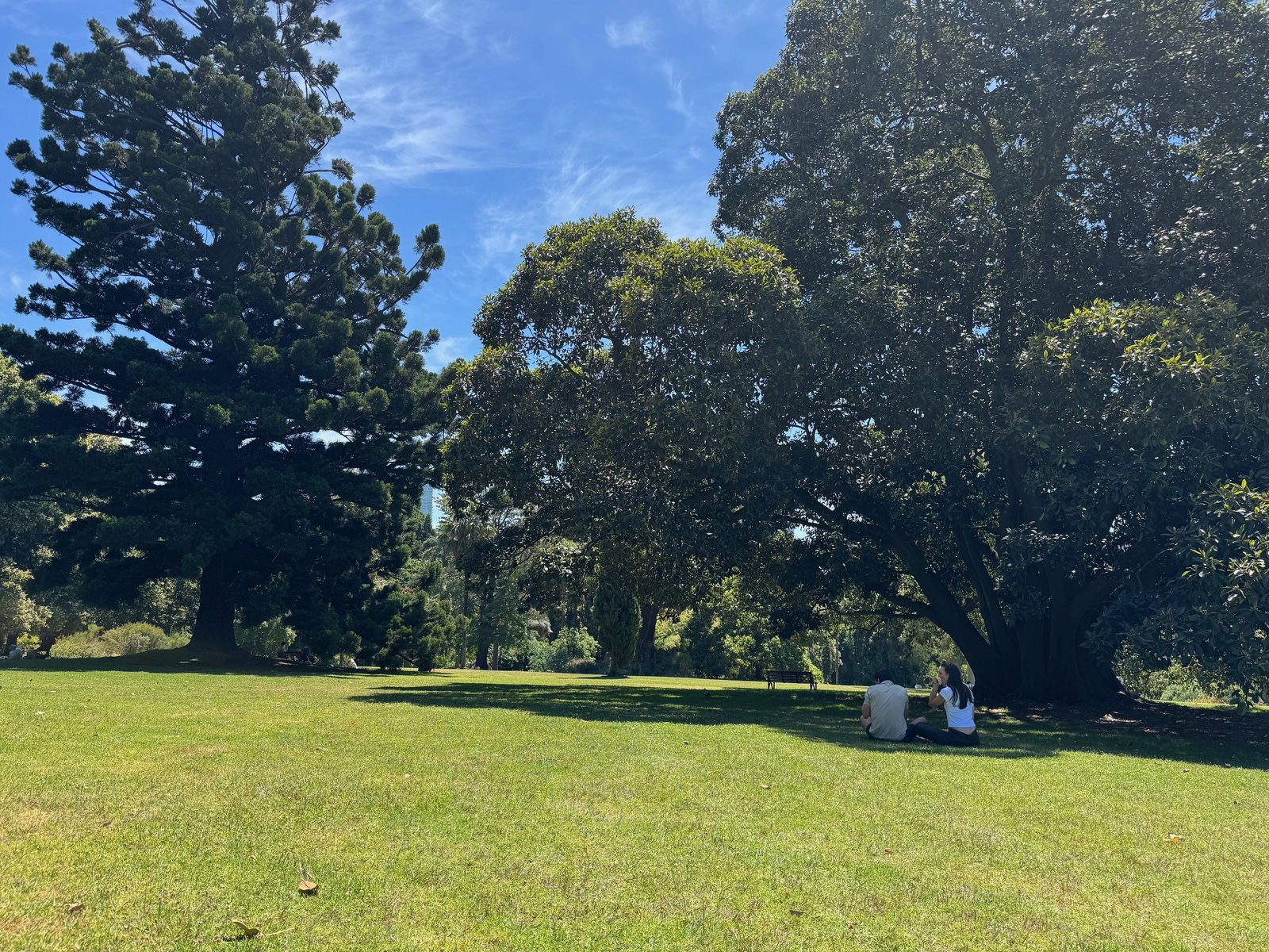 Real Estate and Property in 3/58-62 Marne Street, South Yarra, VIC