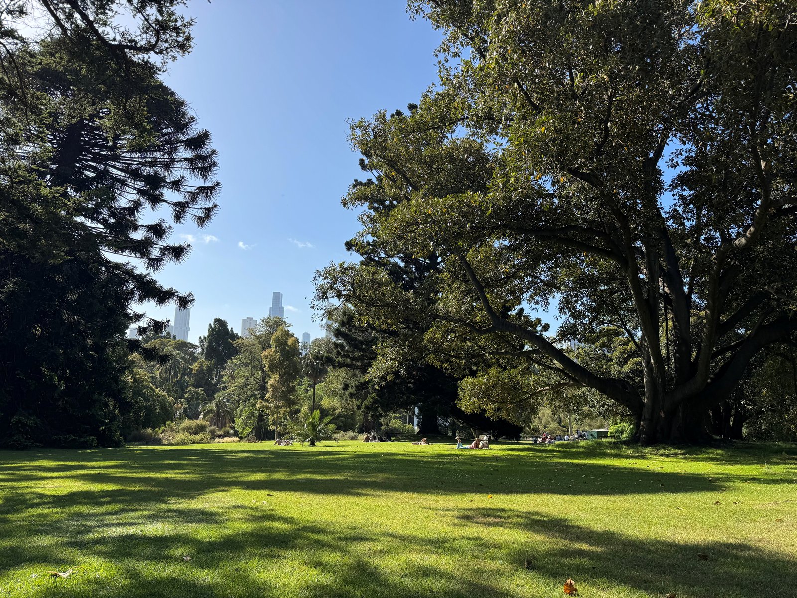 Real Estate and Property in 3/58-62 Marne Street, South Yarra, VIC