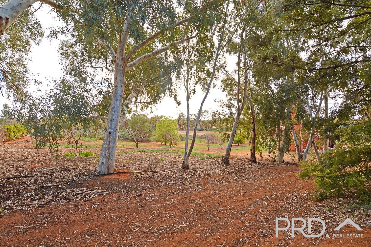 358 Wentworth Road MERBEIN 25