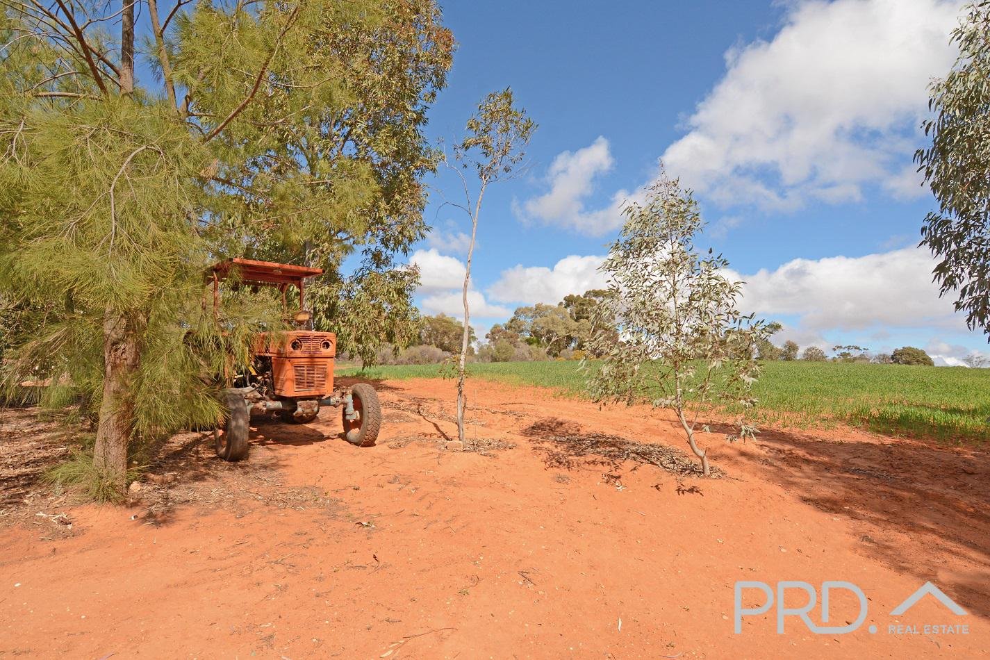 358 Wentworth Road MERBEIN 26