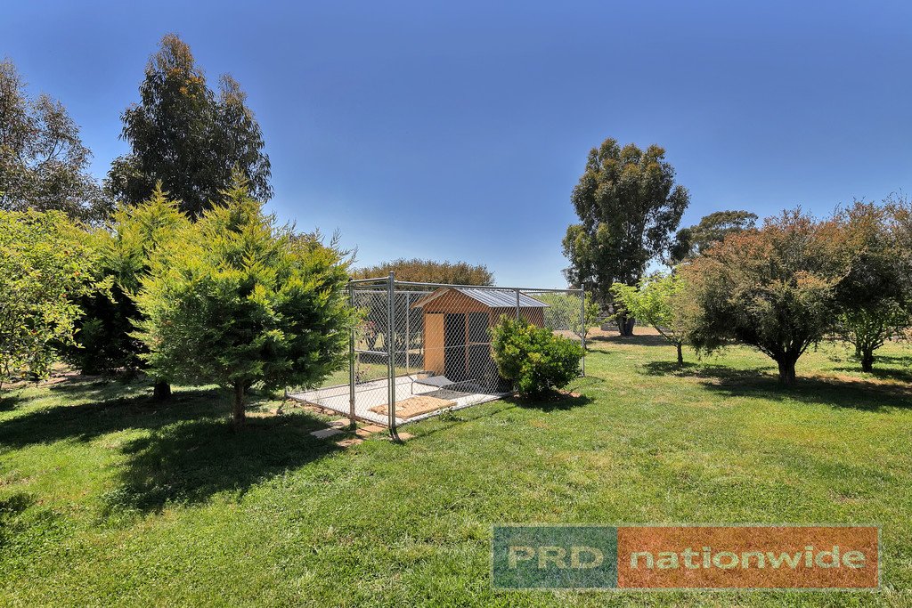 3580 Ballarat-Maryborough Road CLUNES 11