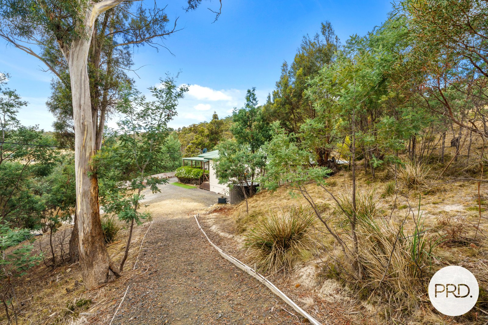 359 Ironstone Gully Road LACHLAN 23