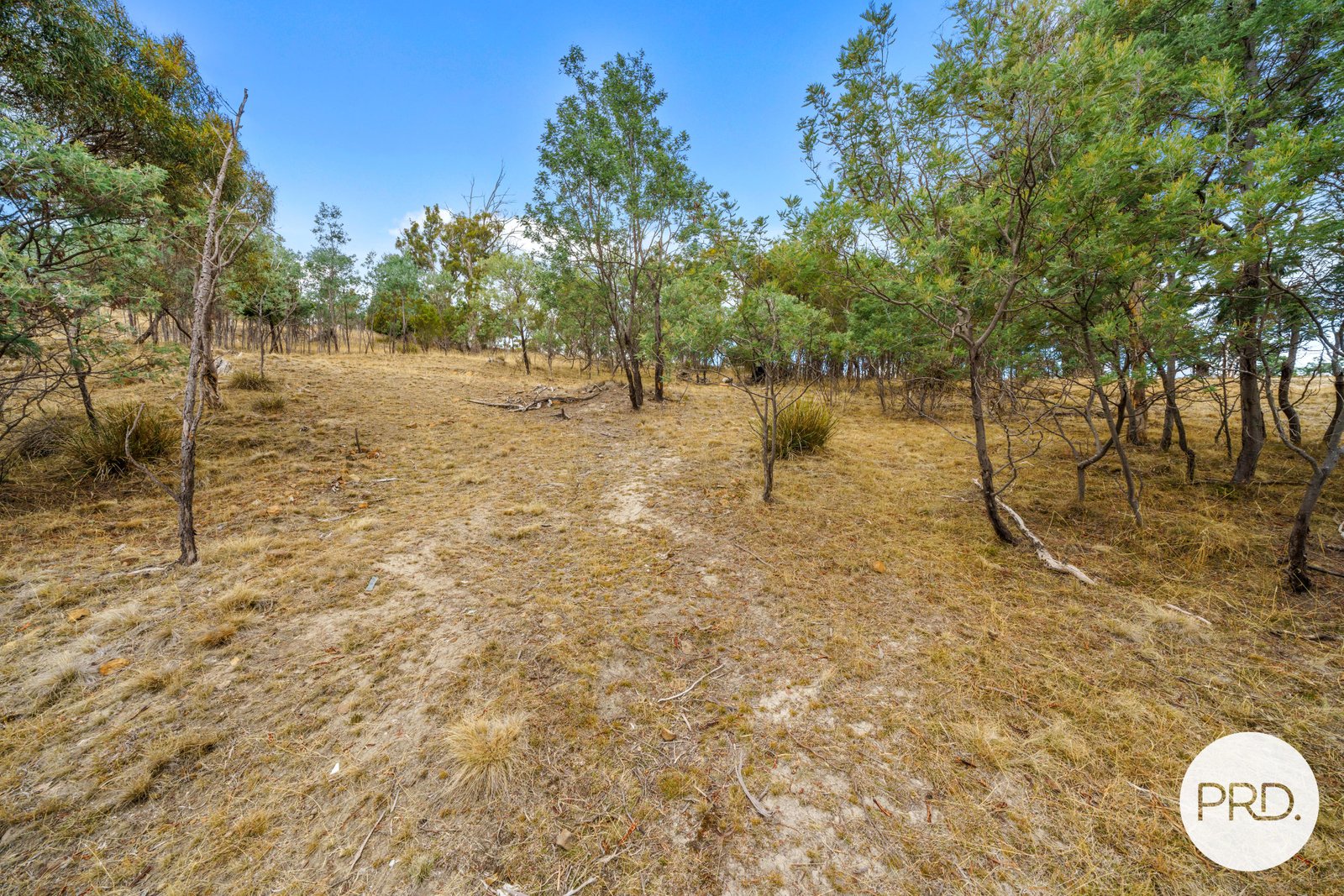 359 Ironstone Gully Road LACHLAN 26