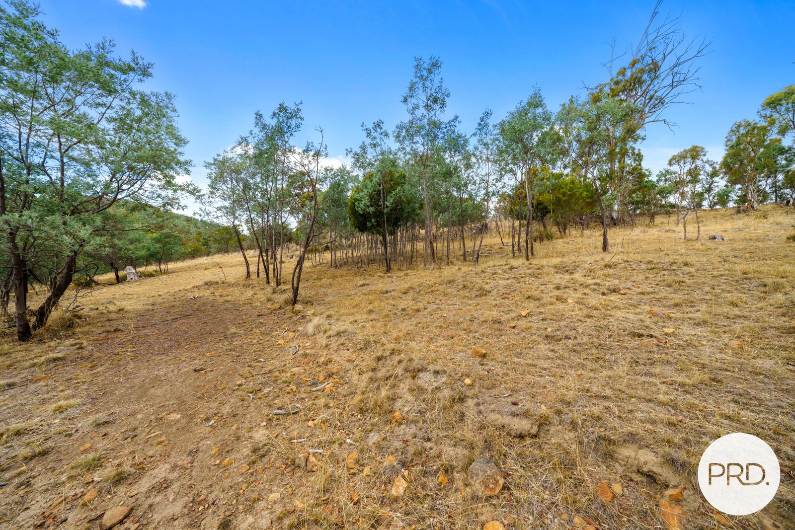 359 Ironstone Gully Road LACHLAN 27