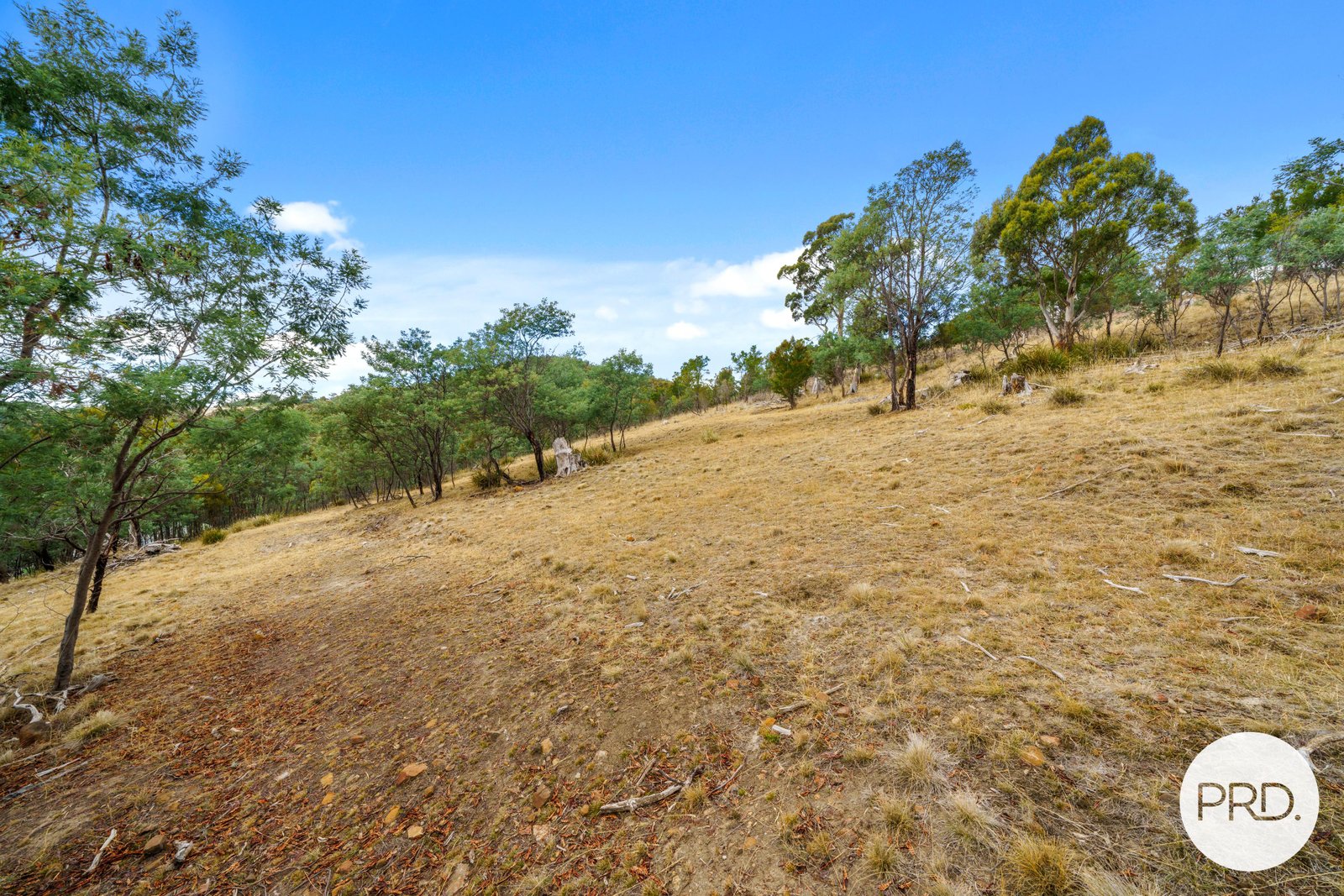 359 Ironstone Gully Road LACHLAN 28