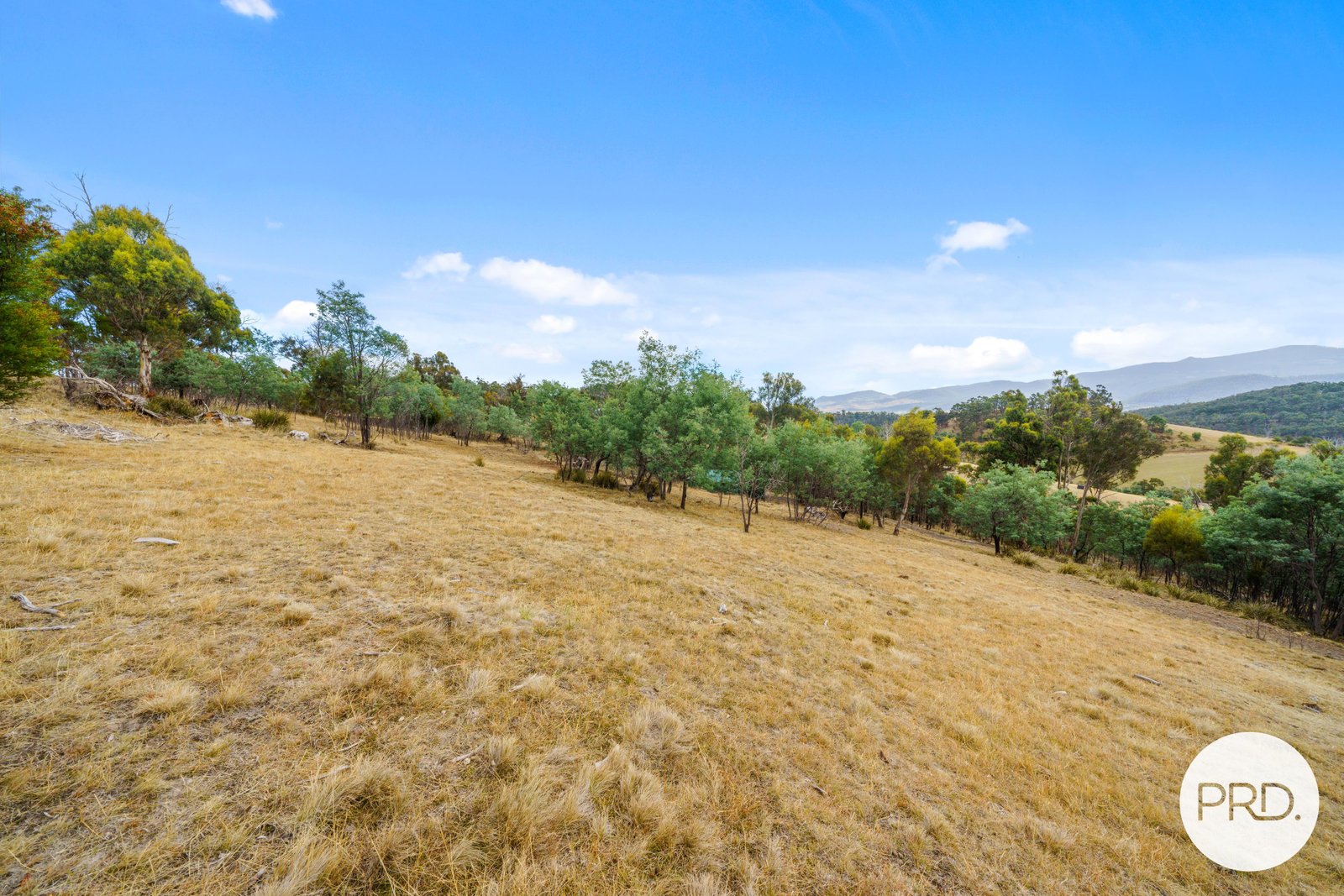 359 Ironstone Gully Road LACHLAN 29