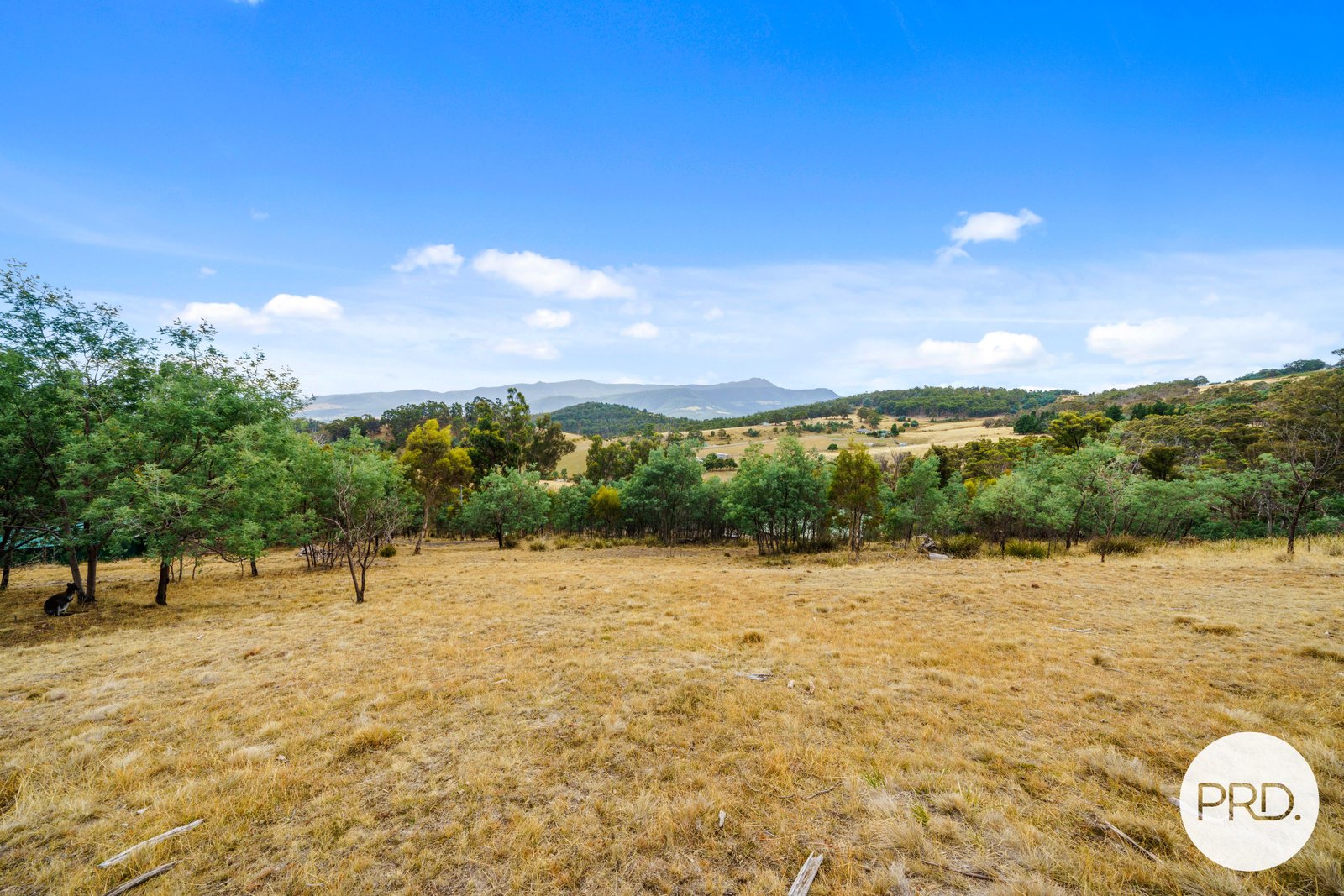 359 Ironstone Gully Road LACHLAN 30