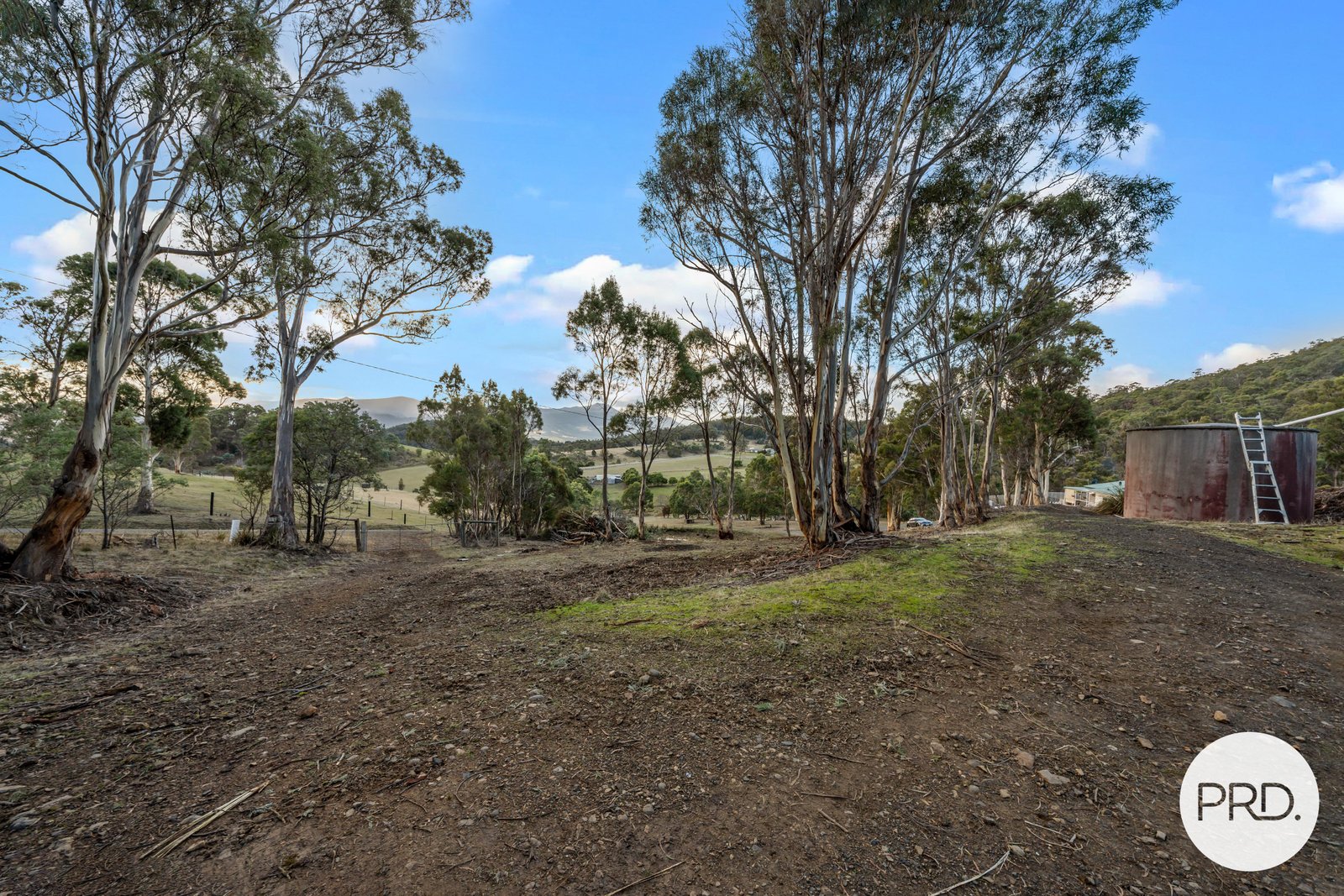359 Ironstone Gully Road LACHLAN 27
