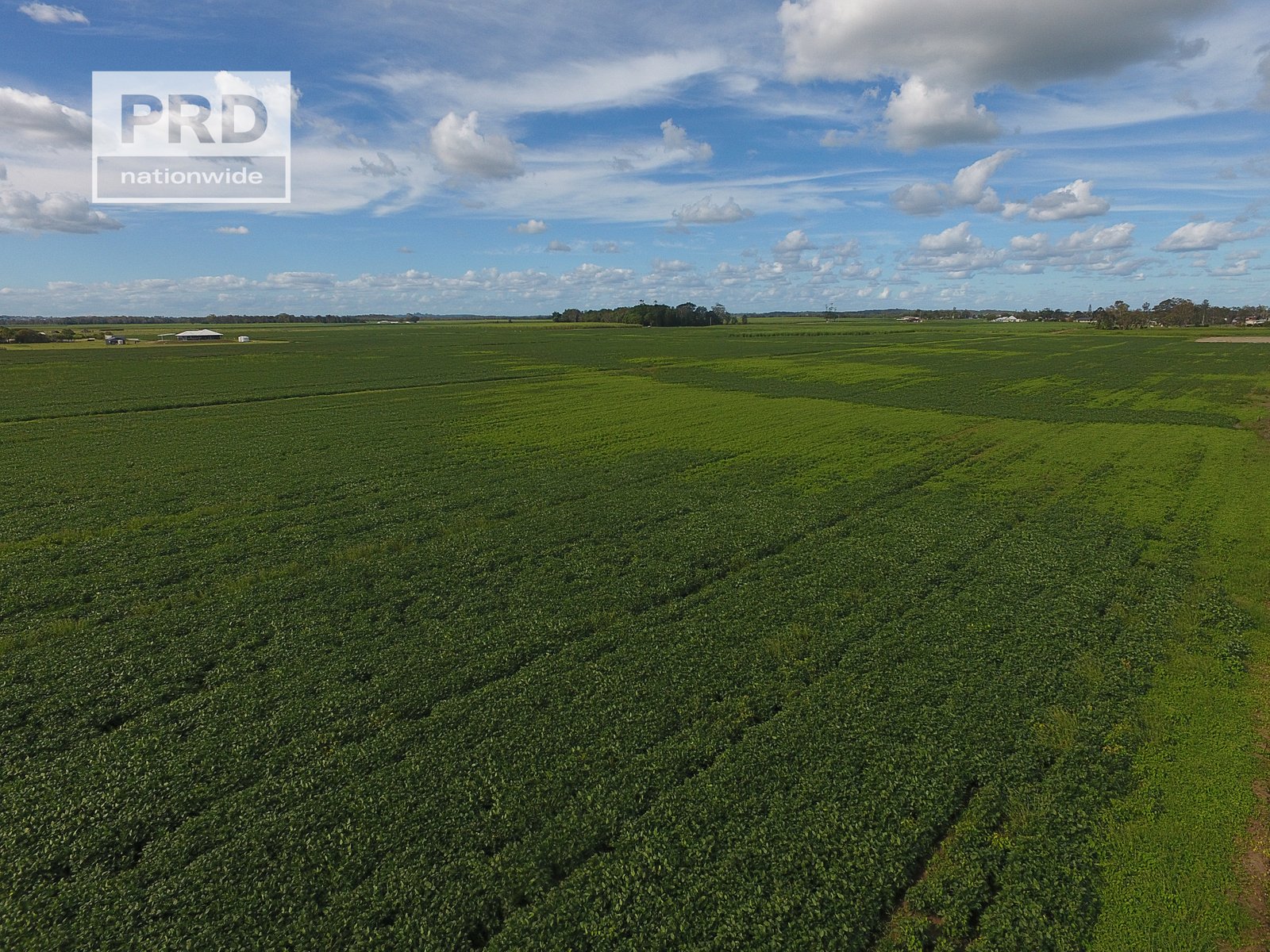 359 Riverbank Road PIMLICO 9