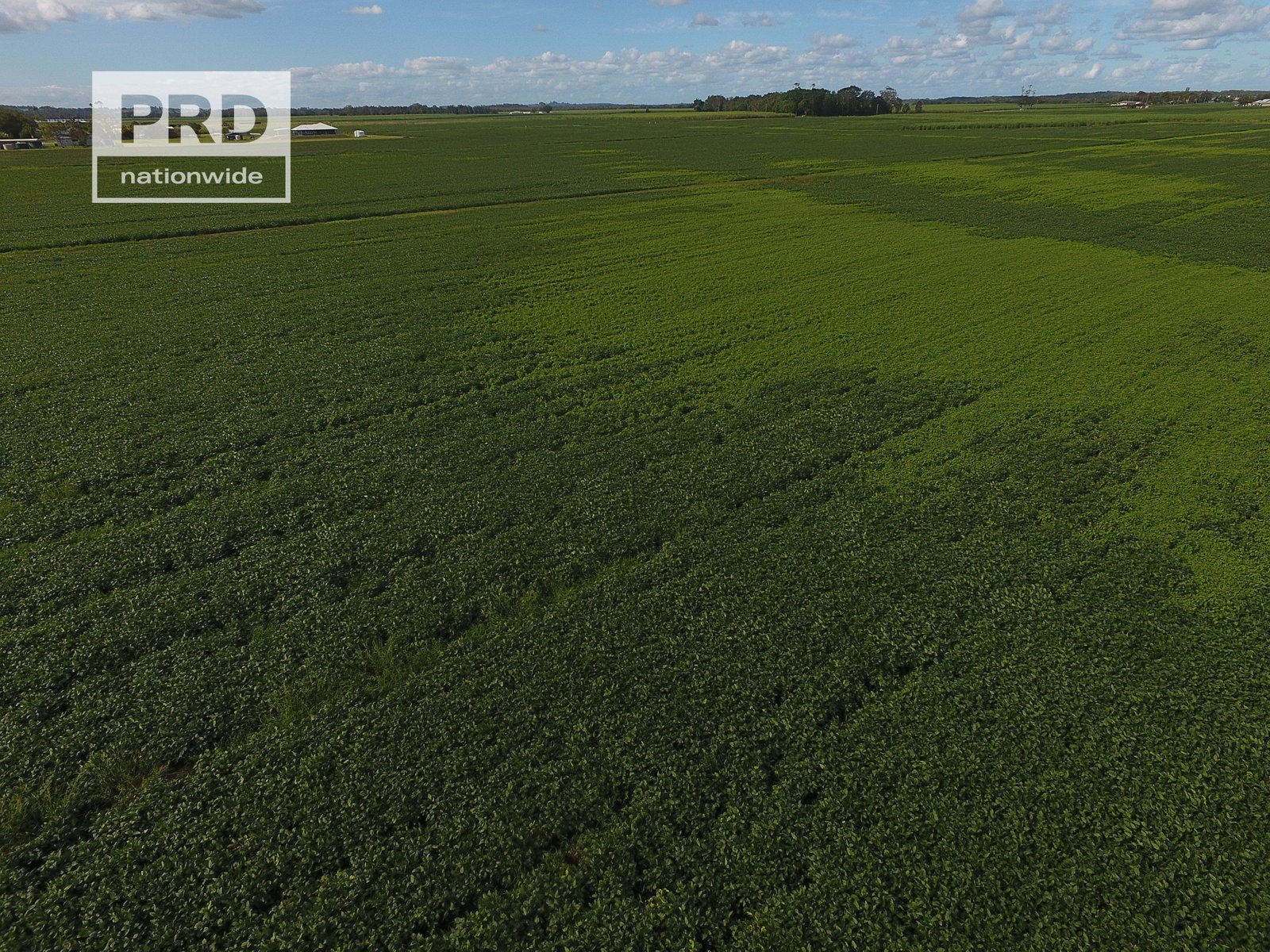 359 Riverbank Road PIMLICO 10