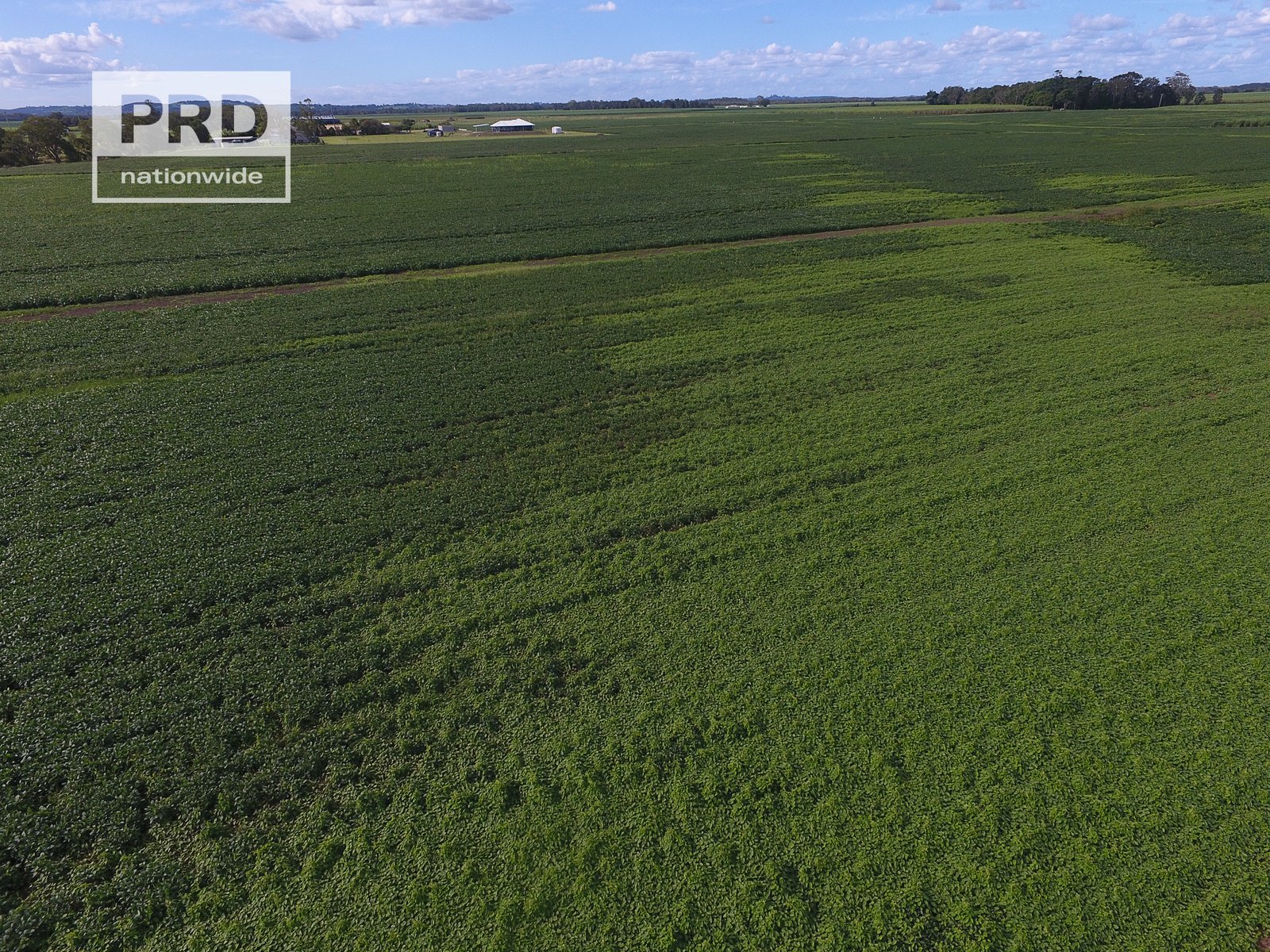 359 Riverbank Road PIMLICO 11