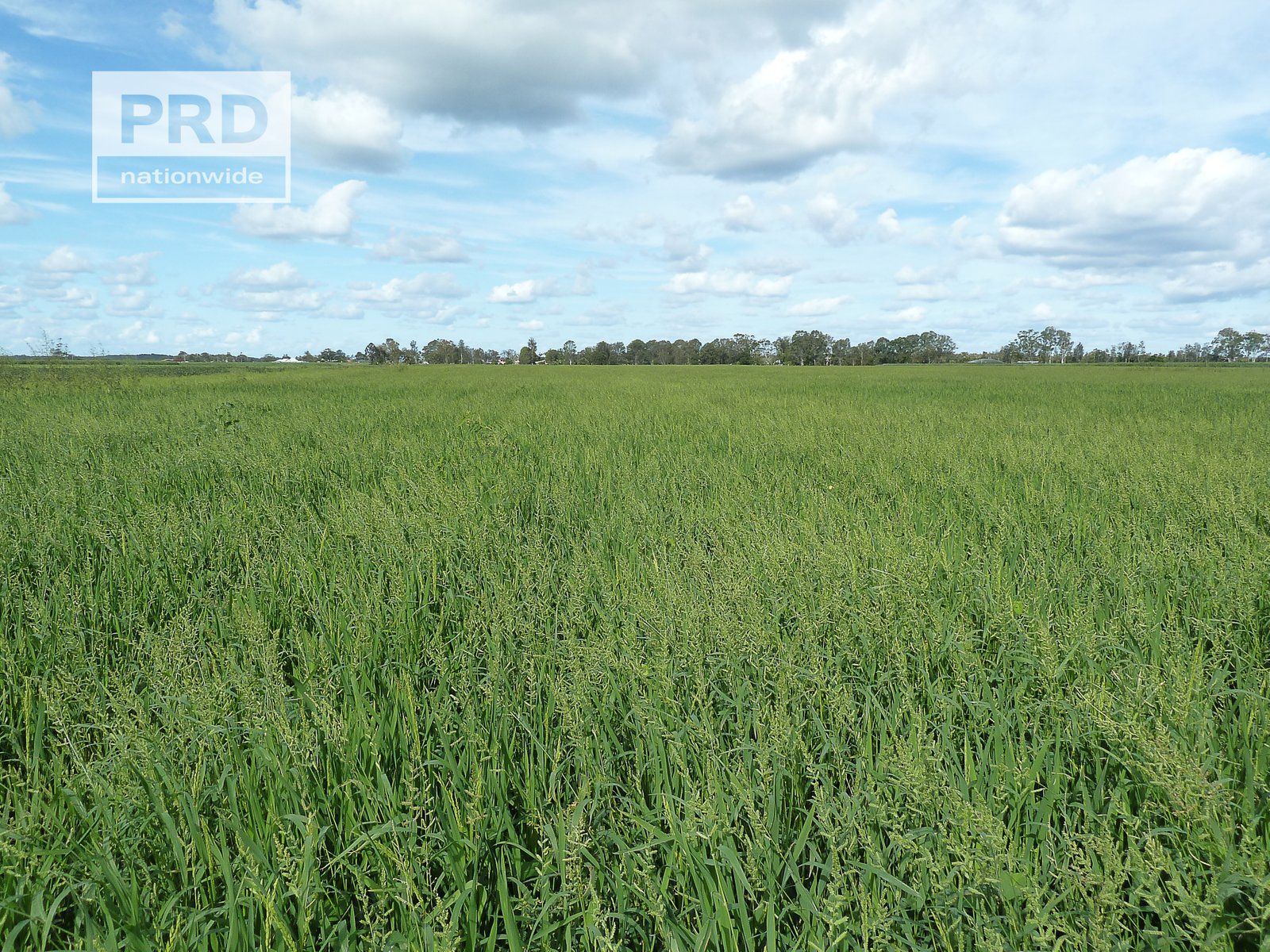 359 Riverbank Road PIMLICO 12