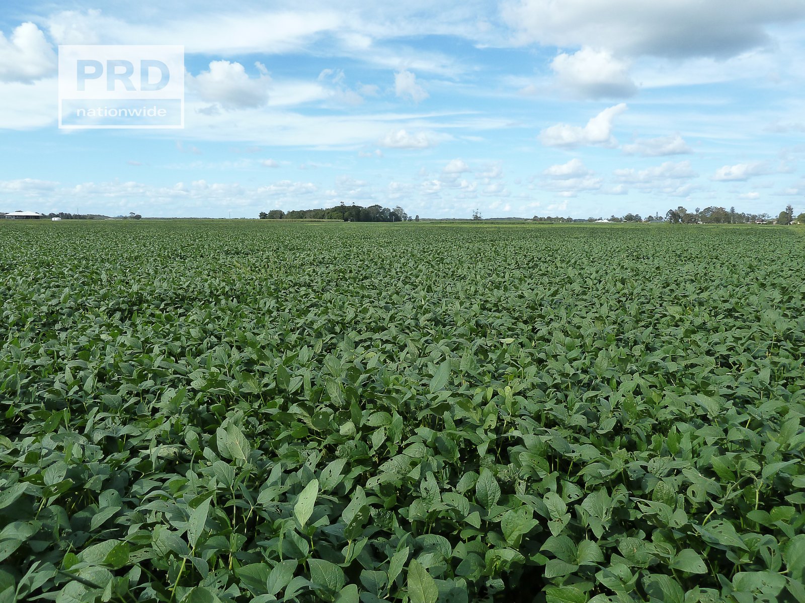 359 Riverbank Road PIMLICO 13