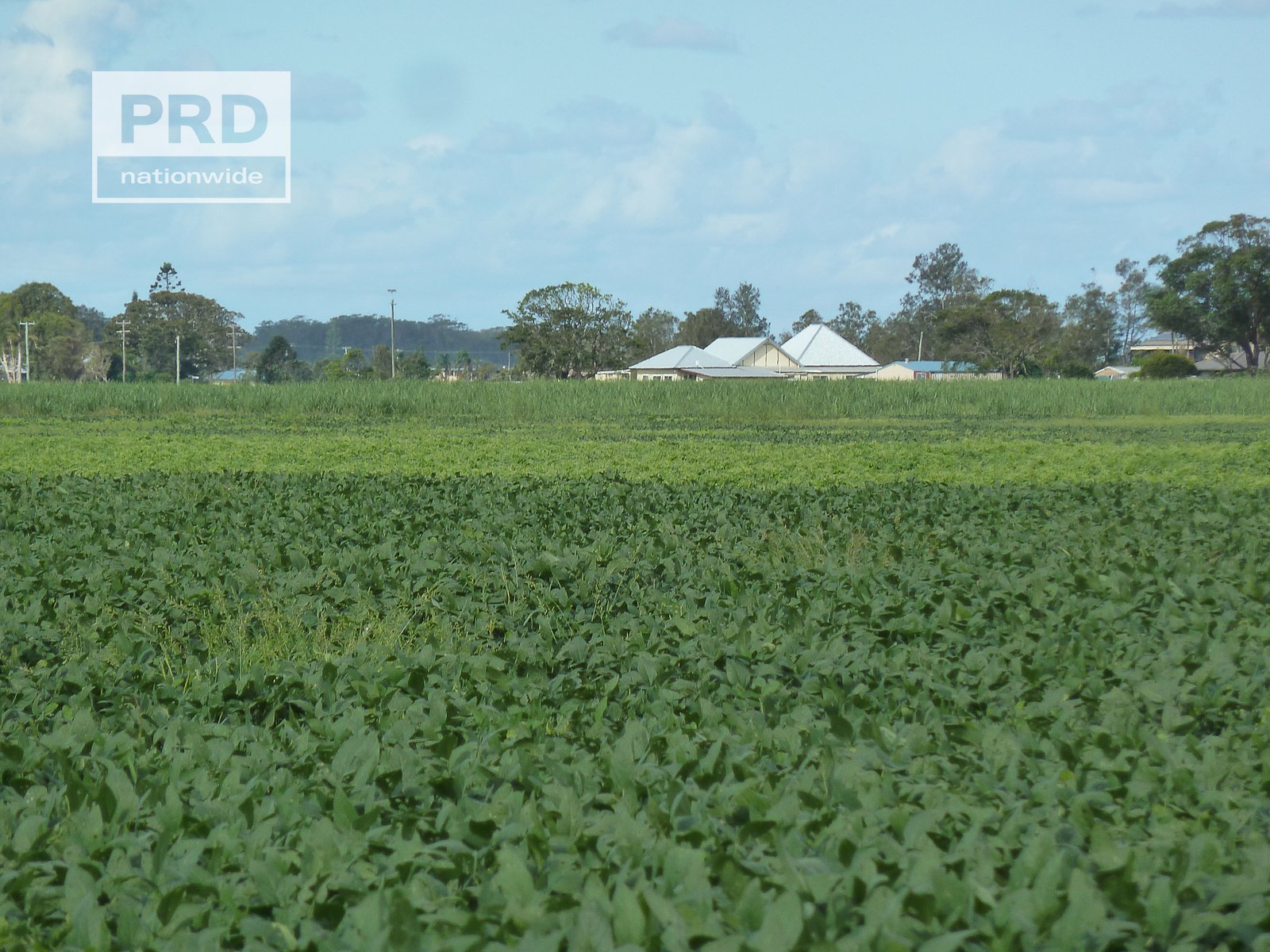 359 Riverbank Road PIMLICO 14