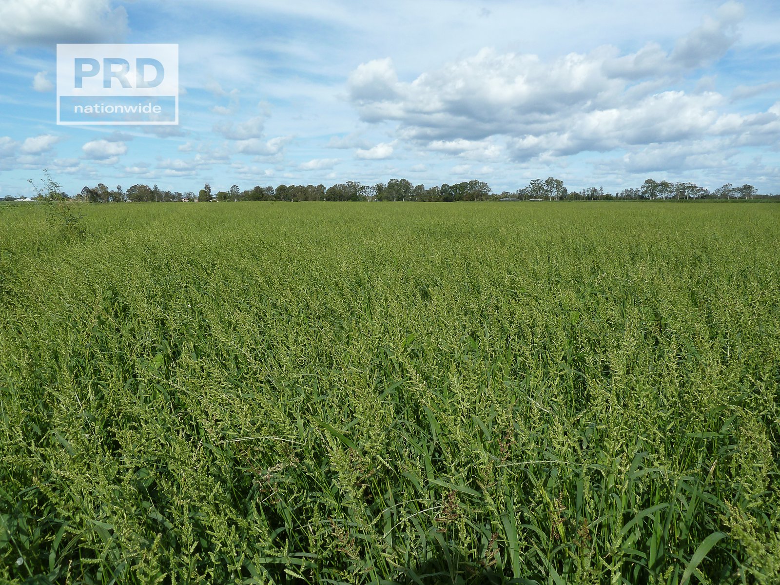 359 Riverbank Road PIMLICO 15