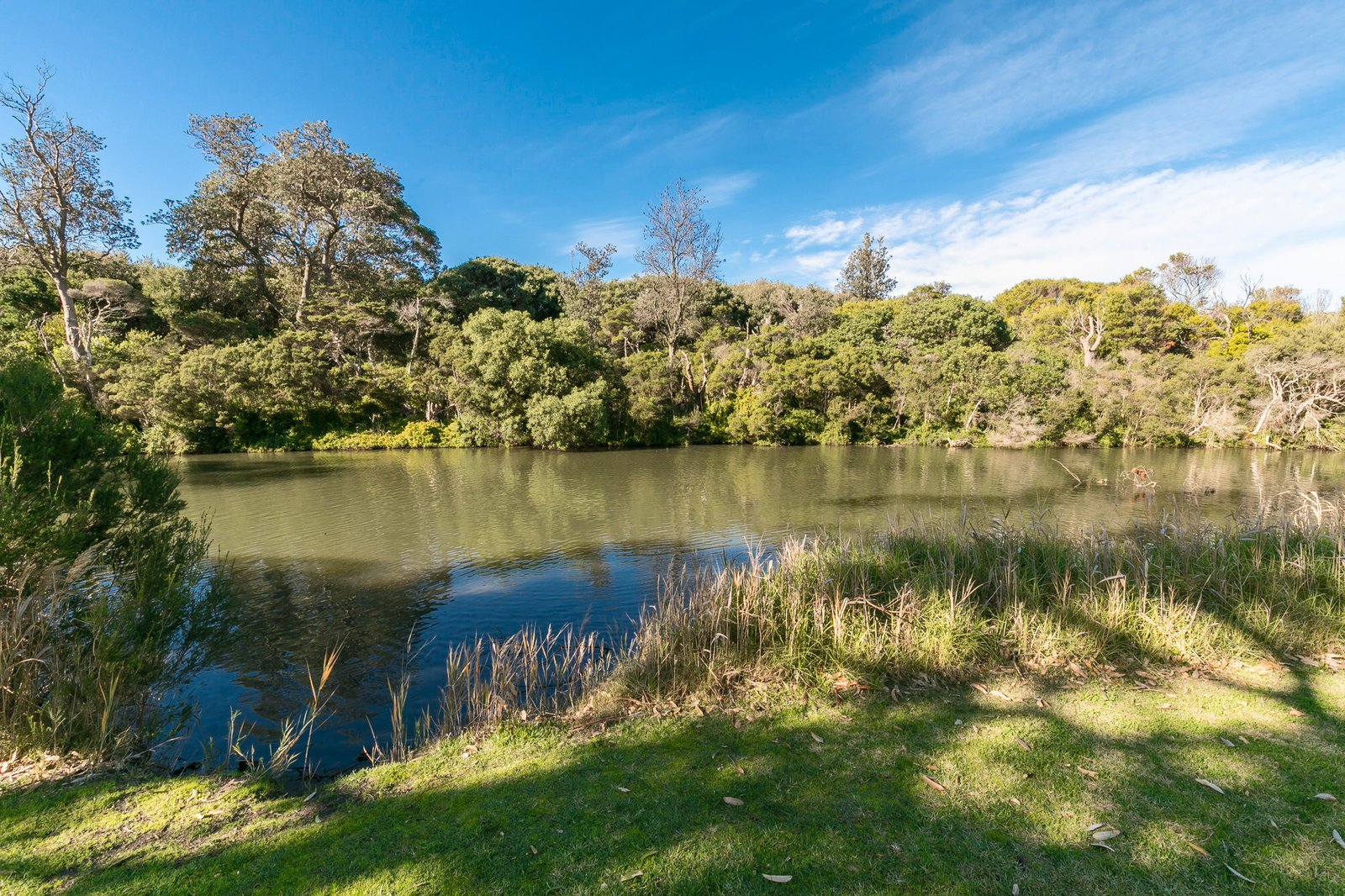 Gallery: 35/99-101 Nepean Highway