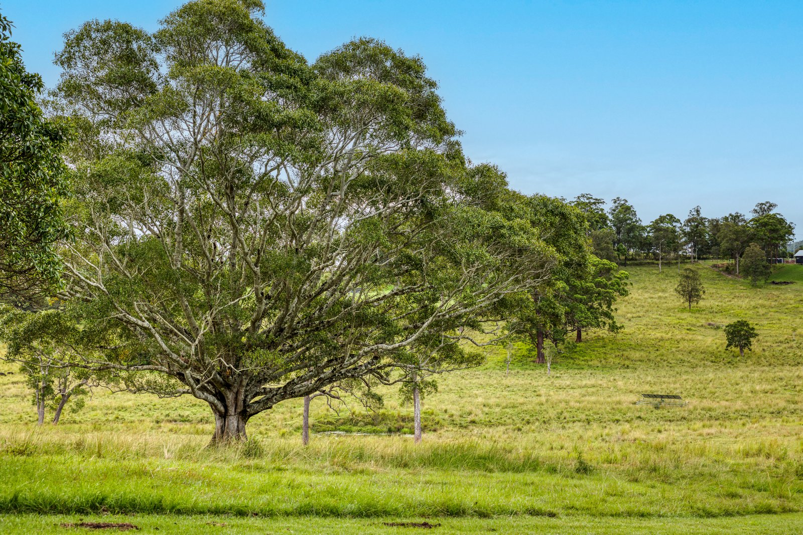 36-62 Windarra Place KYOGLE 2