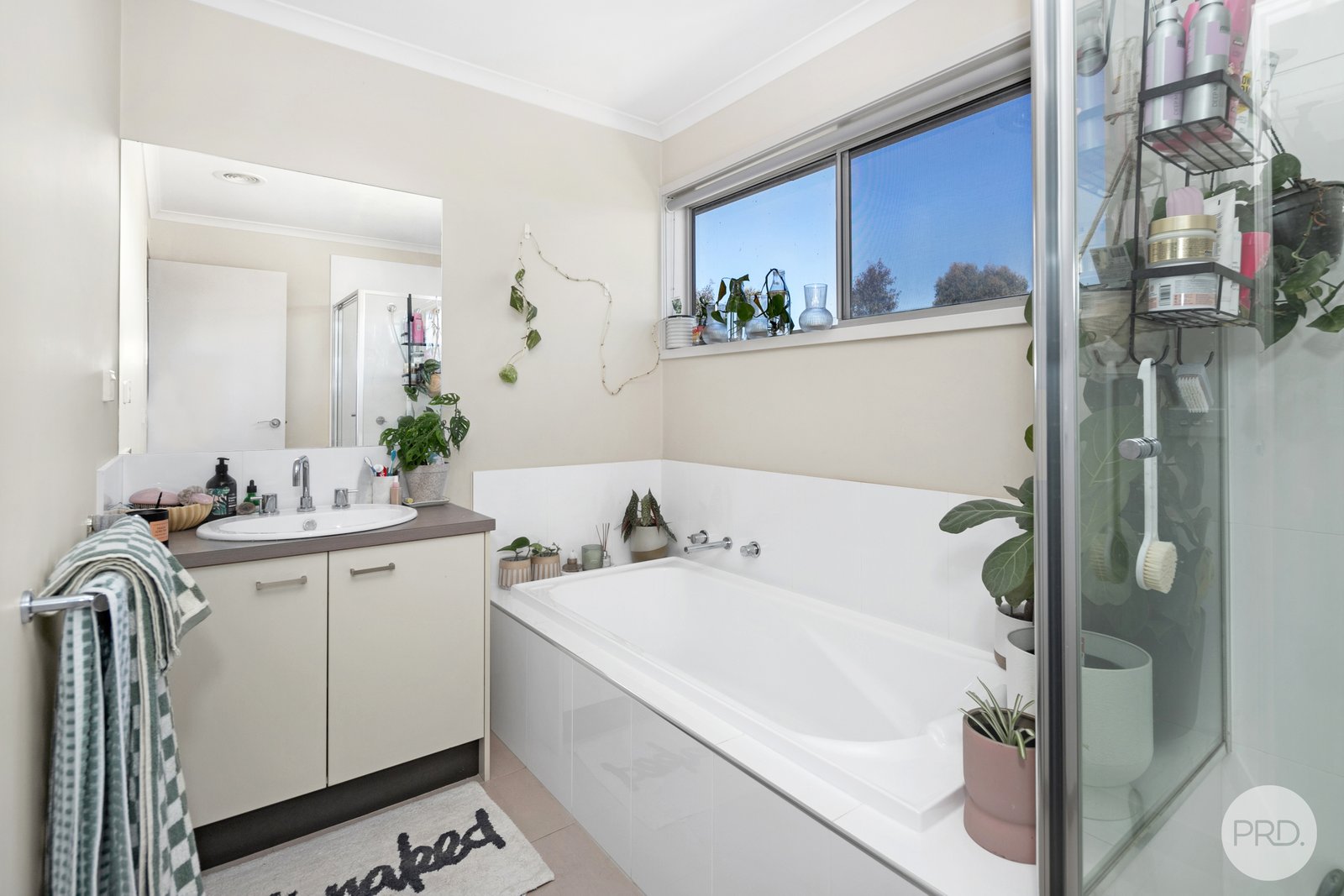 36 Amana Drive ALFREDTON 11
